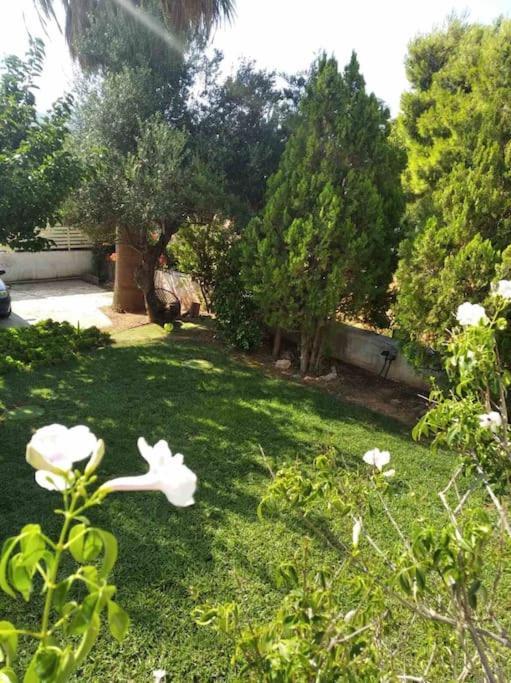 Cozy Villa Vita Lagonisi Kalivia Thorikou ภายนอก รูปภาพ