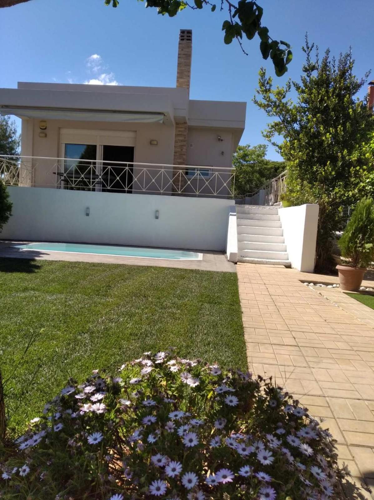 Cozy Villa Vita Lagonisi Kalivia Thorikou ภายนอก รูปภาพ